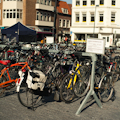 u-stal-mobiele-stalling-neude